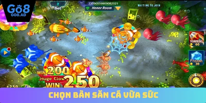Chọn bàn săn cá vừa sức