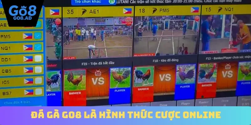 Đá gà Go8 là hình thức cược online