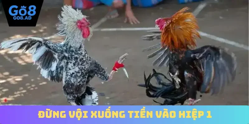 Đừng vội xuống tiền vào hiệp 1