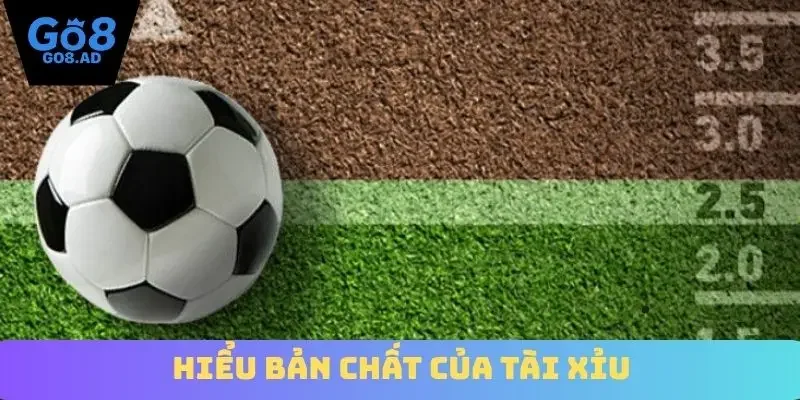 Hiểu bản chất của tài xỉu