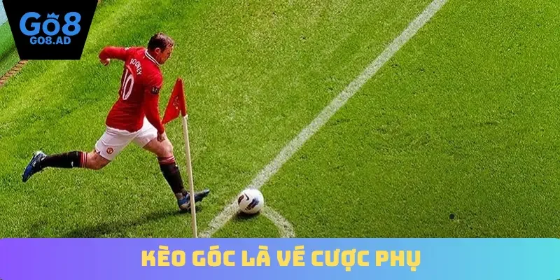 Kèo góc là vé cược phụ