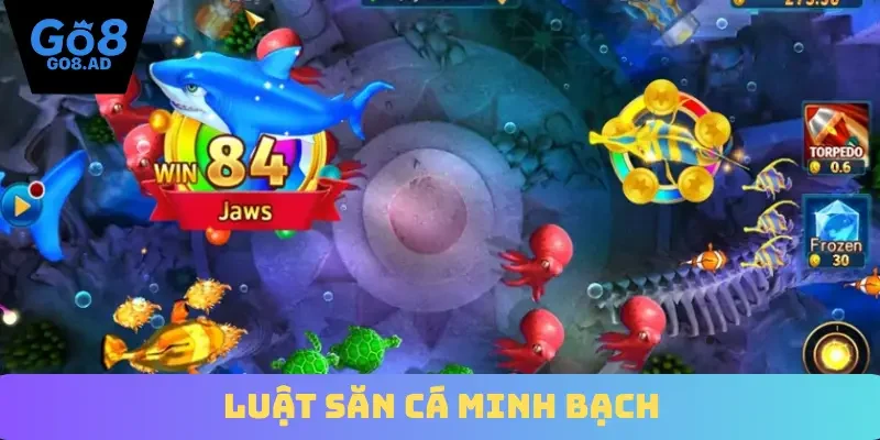 Luật săn cá minh bạch