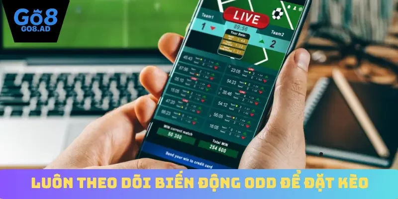 Luôn theo dõi biến động odd để đặt kèo