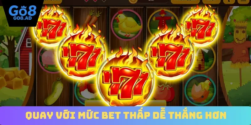 Quay với mức bet thấp dễ thắng hơn