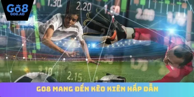Go8 mang đến kèo kiên hấp dẫn